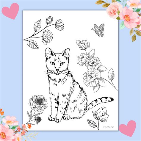 cute kitty coloring pages  kids  printable