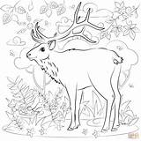 Coloring Elk Pages Printable sketch template