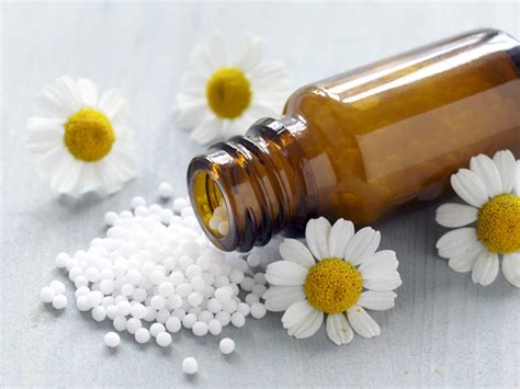homeopathic medicine wholesale outlet save  jlcatjgobmx