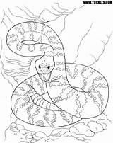 Coloring Pages Viper Rattlesnake Snake Desert Color Snakes Dangerous Cool Yuckles Printable Getcolorings Comments Getdrawings Number Scene Rattlesnakes sketch template