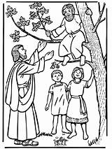 Zacchaeus Coloring Bible Pages Jesus School Testament Activities Sunday Preschool Visit Church sketch template