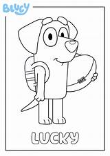 Bluey Colouring sketch template