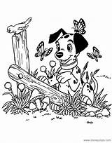 Coloring Pages Dalmatian Dalmatians Puppy Disneyclips Spring Puppies Field Funstuff sketch template