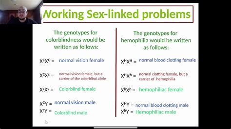 sex linked genetic problems youtube