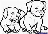 Pitbull Coloring Pages Rottweiler Dog Baby Step Dogs Pitbulls Printable Draw Puppy Color Drawing Pit Book Animals Kids Drawings Adult sketch template
