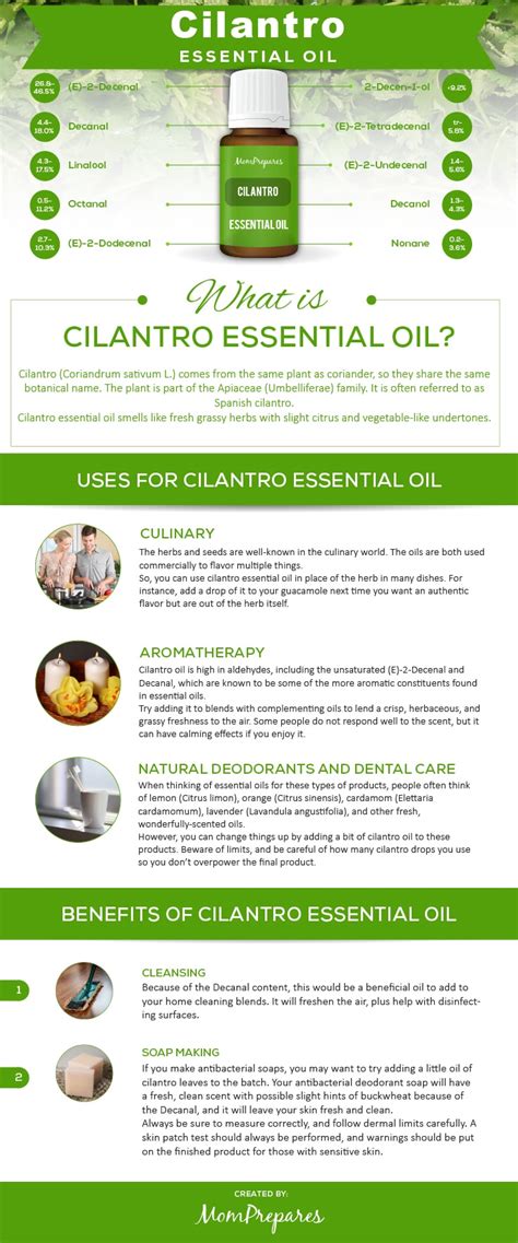cilantro essential oil  complete   benefits guide mom