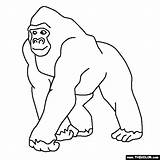 Gorilla Coloring Pages Jungle Animals Baby Thecolor Clipart Outline Printable Animal Crafts Kids Sheet Drawing Line Choose Board Emperor Tamarin sketch template
