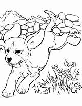 Coloring Pages Dogs Realistic Dog Kids Animal Print Puppy Them Online Visit Sheets sketch template