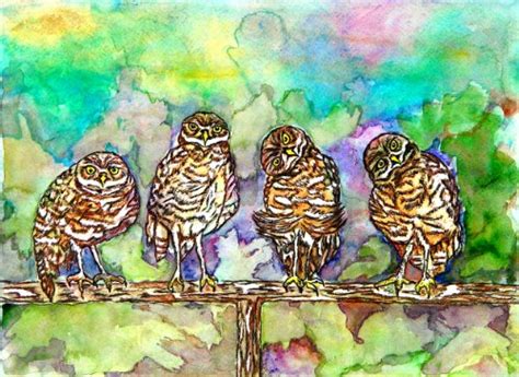 gorgeous owl paintings  sale