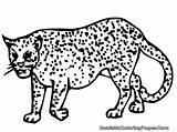 Cheetah Coloring Pages Cub Drawing Leopard Baby Cheetahs Easy Getdrawings Running Color Girls Getcolorings Draw Clouded Printable Results Popular Uteer sketch template