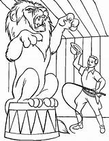 Circus Lion Coloring Pages Getcolorings Getdrawings sketch template