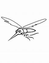 Coloring Mosquito Clipart Library Printable Popular sketch template