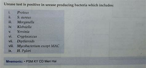 urease producing bacteria microbiology mnemonics bacteria