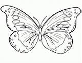 Colorear Para Mariposas Dibujos Coloring Pages Kids Imagen sketch template