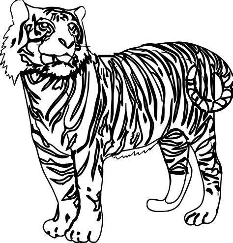 awesome  tiger coloring page coloring pages coloring pages