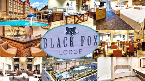 black fox lodge pigeon forge tapestry collection  hilton youtube
