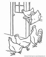 Hen Hens Bauernhoftiere Chicks Rooster Bestcoloringpagesforkids sketch template