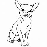 Chihuahua Coloring Pages Drawing Dogs Dog Thecolor Kids Chiweenie Color Line Getdrawings Popular Simple Online Choose Board Template sketch template