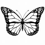 Butterfly Coloring Pages Printable Kids Printables sketch template