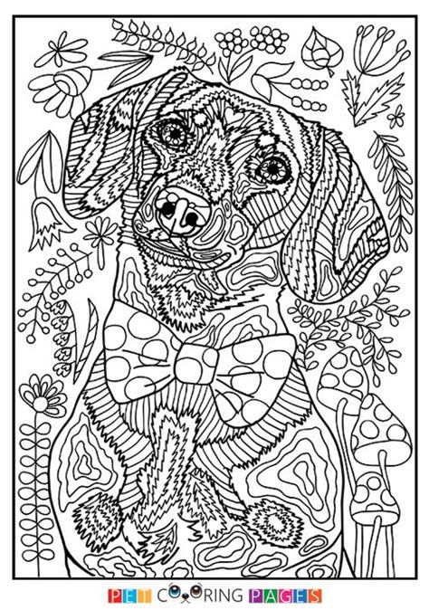 pin  america ort  podelki dog coloring book dog coloring page
