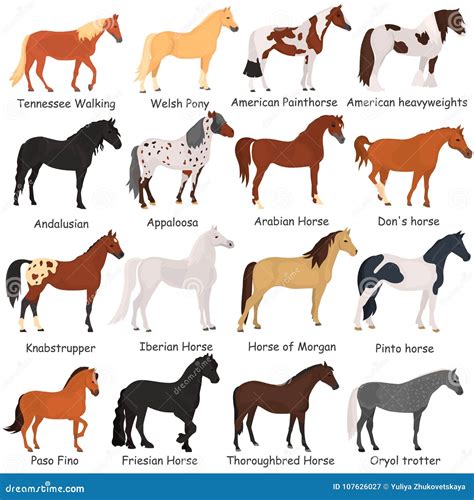 horse breeds color flat icons set stock illustration illustration