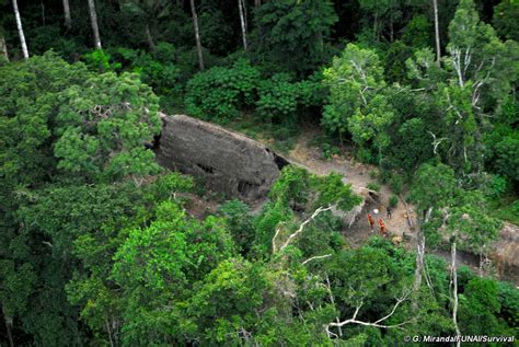 Uncontacted Indians Of Brazil Survival International