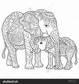 Elephants Drawn Elefantes Shutterstock sketch template