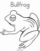 Coloring Bullfrog Tadpole Frog Frogs Pages Printable Color Hibernate Drawings Noodle 76kb Twistynoodle Outline Getcolorings sketch template