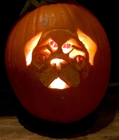 pug carved pumpkin pugs  kisses pumpkin carving dog pug