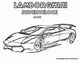 Getdrawings Lamborghini Gallardo sketch template