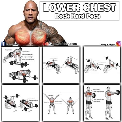 pin by rohail mall on chest workout lower chest workout pec workouts