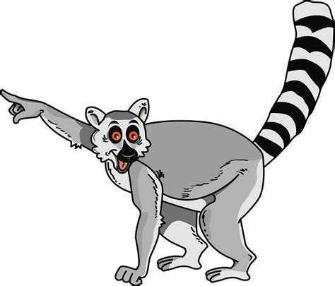 ring tailed lemur clipart   transparent png creazilla