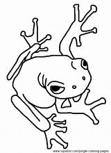 Frog Tree Coloring Pages Poison Dart Clip Jungle Clipart Frogs sketch template