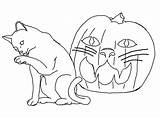 Coloring Pages Cat Halloween Cats Printable Big Color Print Jack Pumpkin Lantern Funny Paper Kids Bestcoloringpagesforkids Click Comments sketch template