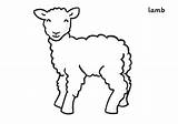 Lamb Coloring Spring Lambs Sheep Pages Cartoon Little Drawing Outline Color Baby Print Running Animals Animal Coloringsky Kids Preschool Choose sketch template