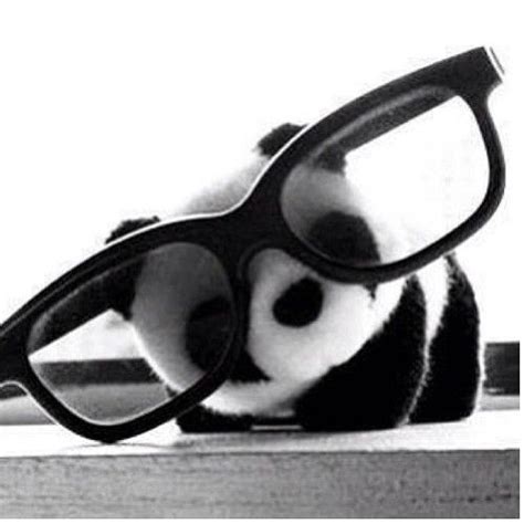 Panda Glasses Panda Glasses Panda Love