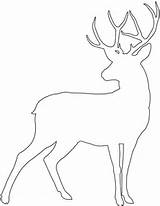 Deer Outline Silhouette Silhouettes Drawing Svg Animal Printable Bing Christmas Coloring Pages Vector sketch template