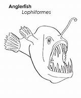 Fish Coloring Angler Pages Anglerfish sketch template