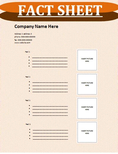 fact sheet template fact sheet receipt template templates