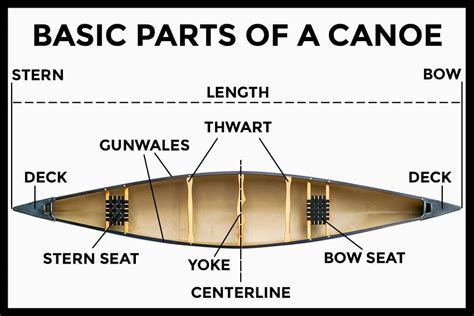 parts   canoe bow  stern basics paddle camp   kayaking canoeing stand
