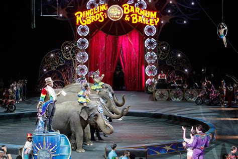 ringling  returning   animal  circus