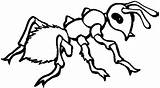 Coloring Ant Pages Printable Kids sketch template