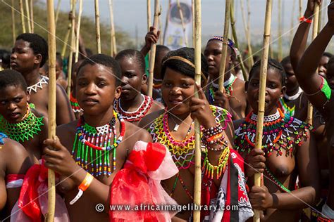 Photos And Pictures Of Zulu Maidens Deliver Reed Sticks
