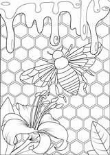 Bee Adults Abeille Coloriage Miel Colorir Mariposas Hive Erwachsene Insekten Schmetterlinge Insectos Ruche Farfalle Insetti Mandala Malbuch Adulti Colmeia Insectes sketch template