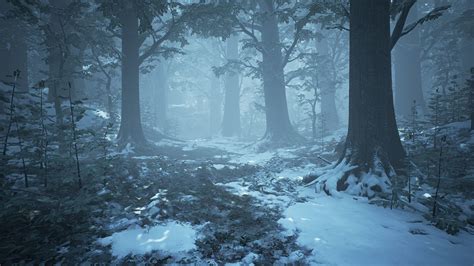 photo winter forest year snowy ray   jooinn