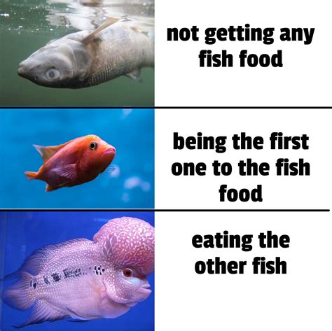 fish meme rfish