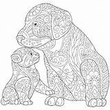Coloring Pages Cat Adults Printable Getcolorings Color Getdrawings sketch template