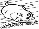 Barking Dog Drawing Getdrawings Coloring sketch template