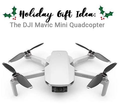 dji mavic mini quadcopter camera drone nifty mom