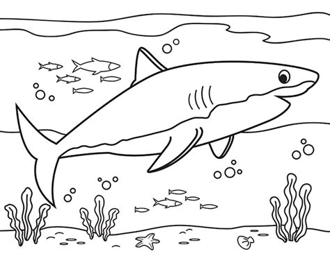 printable great white shark coloring page